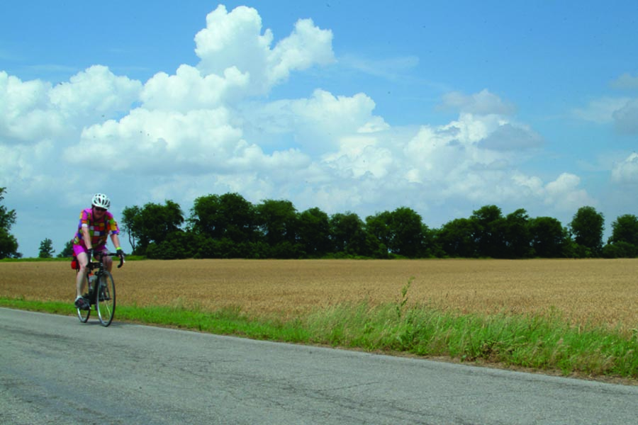 About Our Agency - Biker in Bright Clothing and Helmet Rides Past a Golden Field on a Sunny Day, White Fluffy Clouds Overhead and Trees at the Edge of the Field